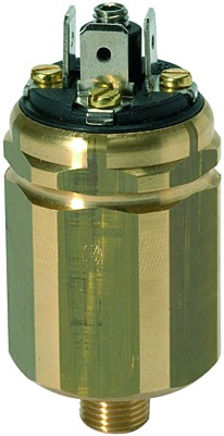 Vakuum-Druckschalter Typ : DS 3001